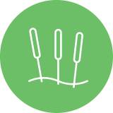 acupuncture-icon